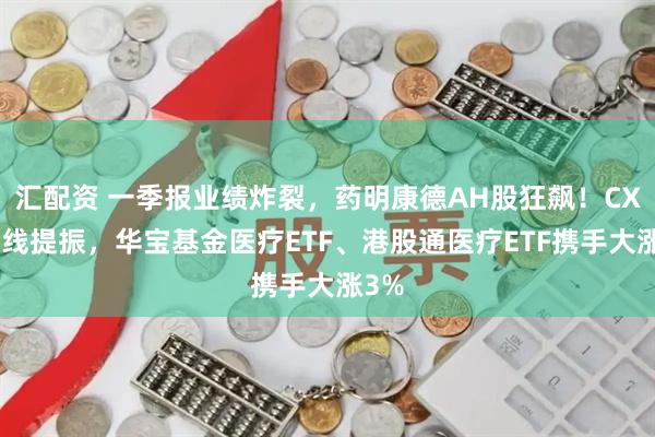 汇配资 一季报业绩炸裂，药明康德AH股狂飙！CXO全线提振，华宝基金医疗ETF、港股通医疗ETF携手大涨3%
